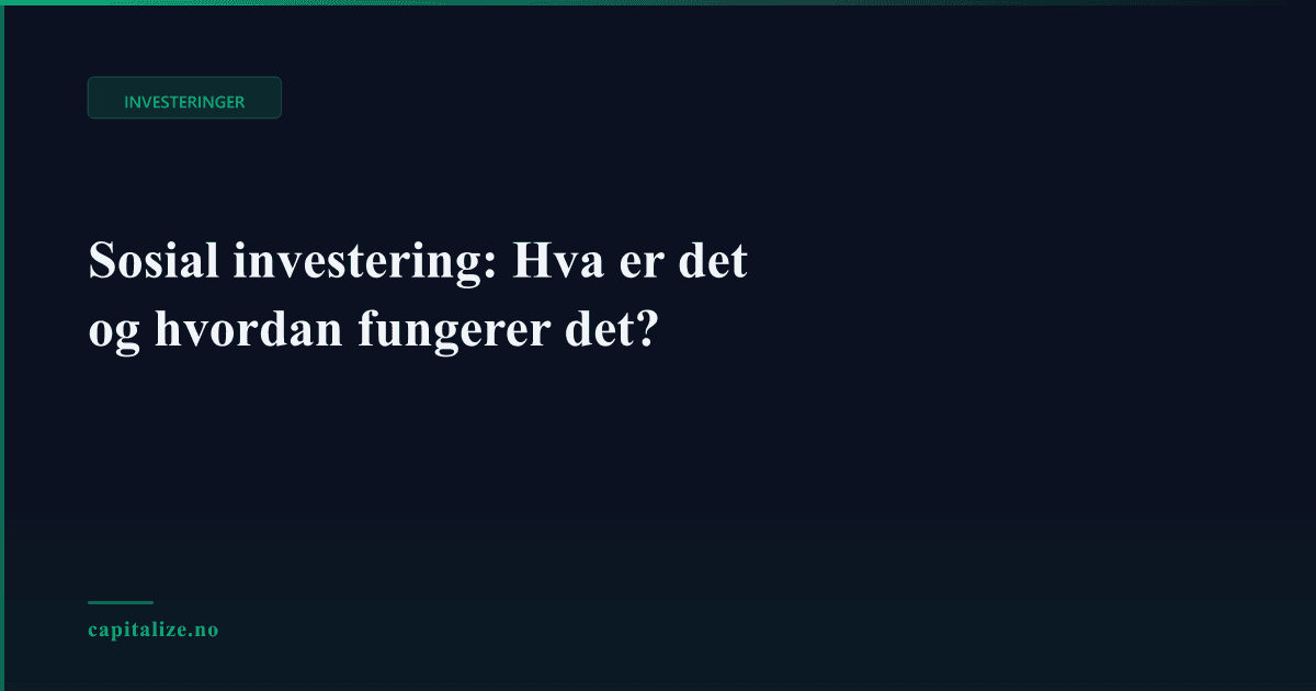 Sosial investering: Hva er det og hvordan fungerer det?
